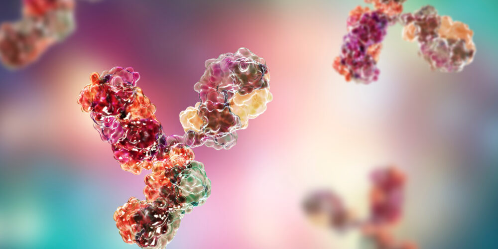 🧪 Deep Dive into SOCS3 Antibody : Biology, Applications, and Best Practices