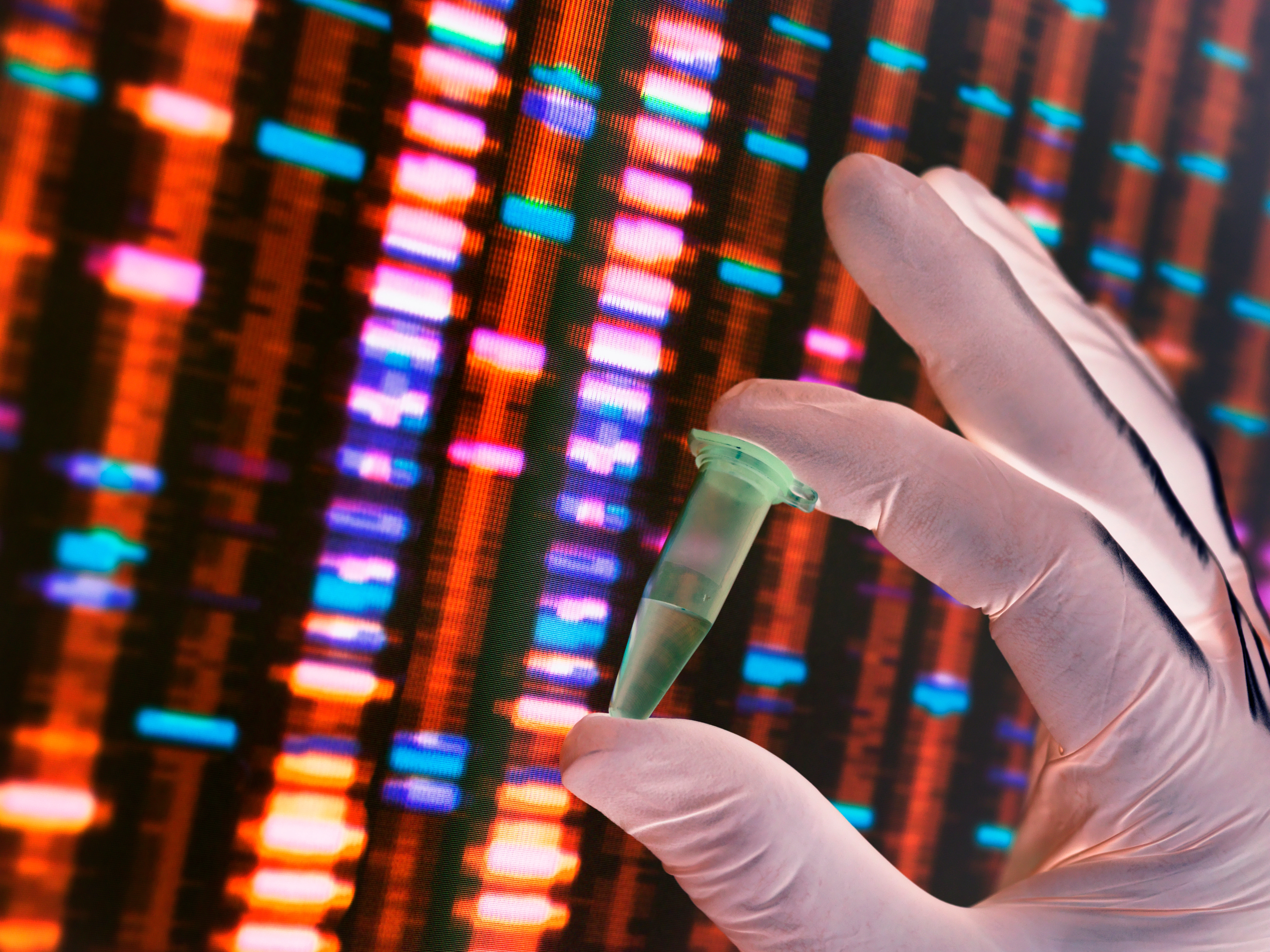 Understanding Gene Regulation : The Key to Unlocking Cellular Function and Disease Mechanisms