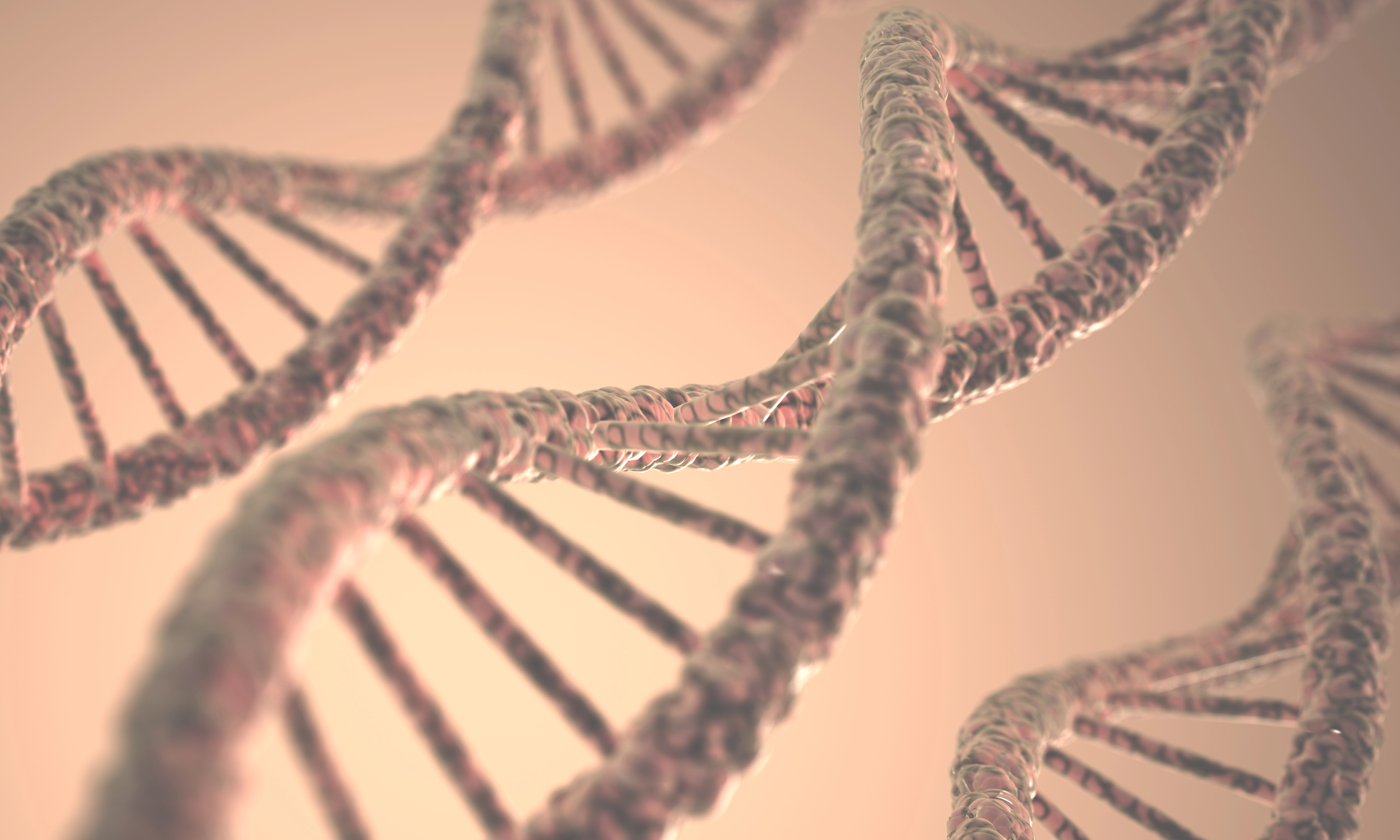 From DNA to Protein: How Cells Read the Genetic Code