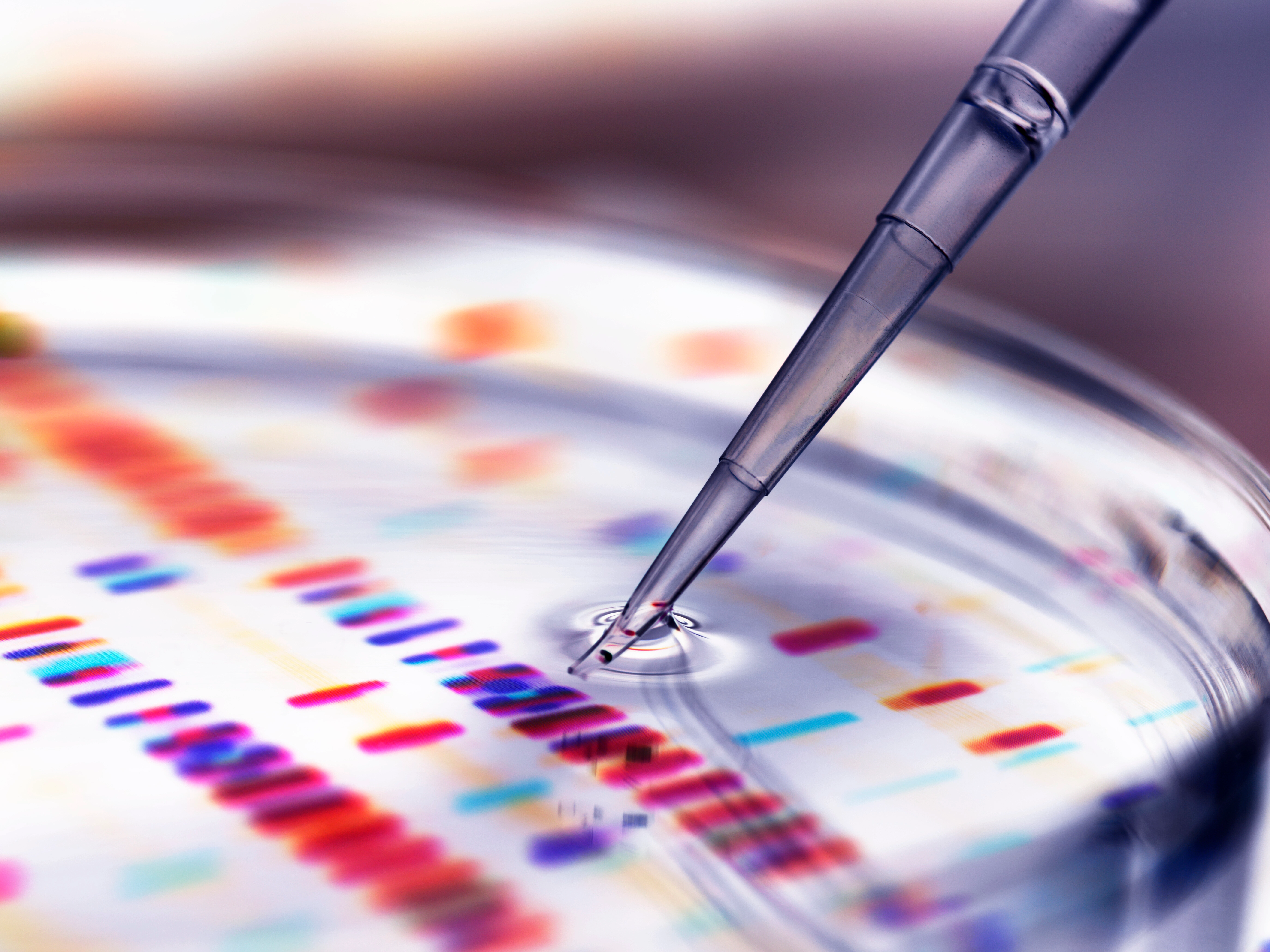 CRISPR-Cas9 Gene Editing Solutions 