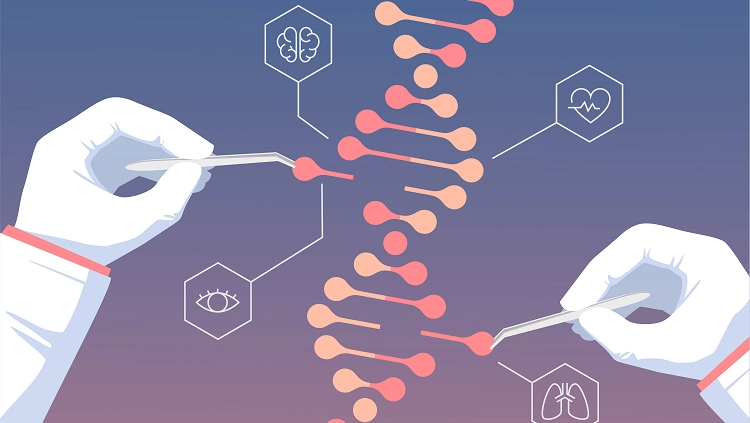 Advanced CRISPR-Cas9 Genome Engineering: Technical Insights, Applications, and Integrated Research Tools