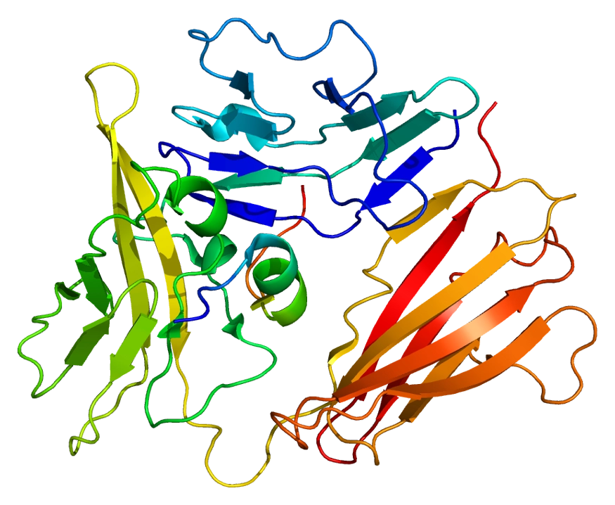 Interleukin 1 Receptor Associated Kinase 3 (IRAK3) : A Key Regulator of Innate Immunity and Inflammatory Signaling