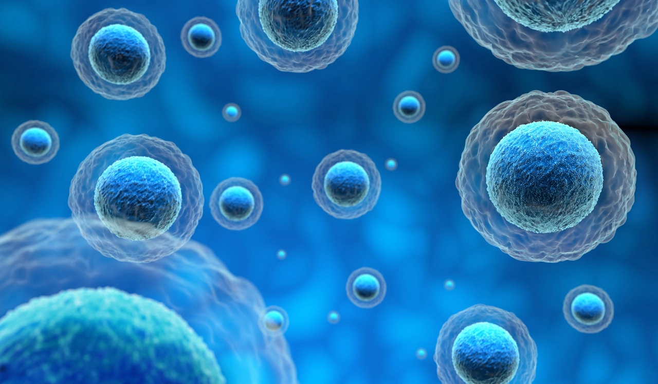 Understanding Skin Cell Lines : A Technical Overview for Experts