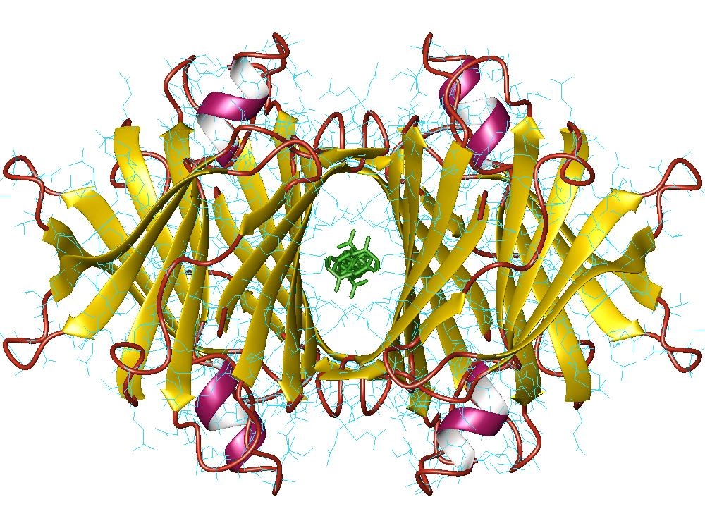Antibody-based Transthyretin (TTR) Assay Kits