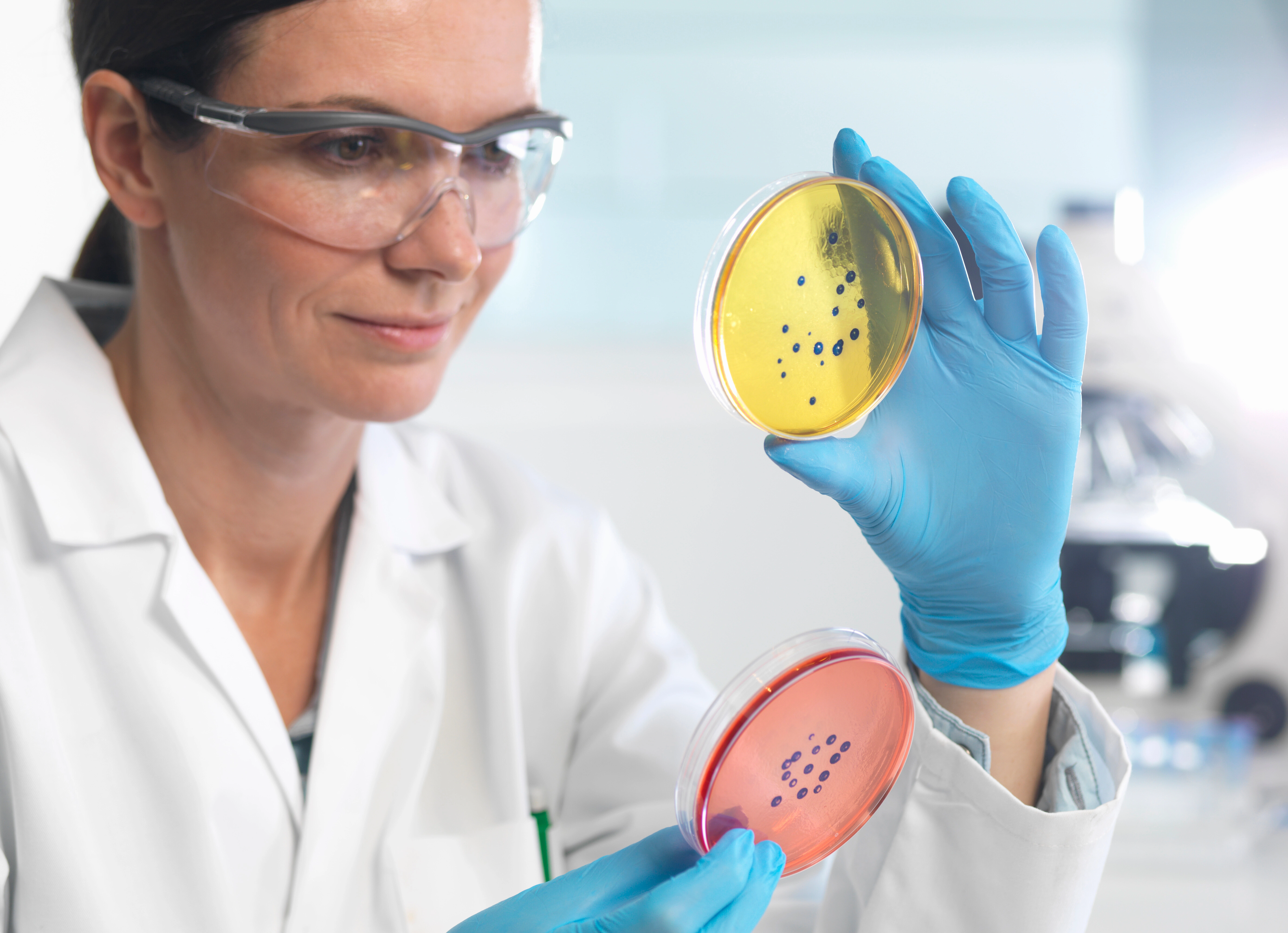 Bacillus : Molecular Biology, Ecology, and Biomedical Importance