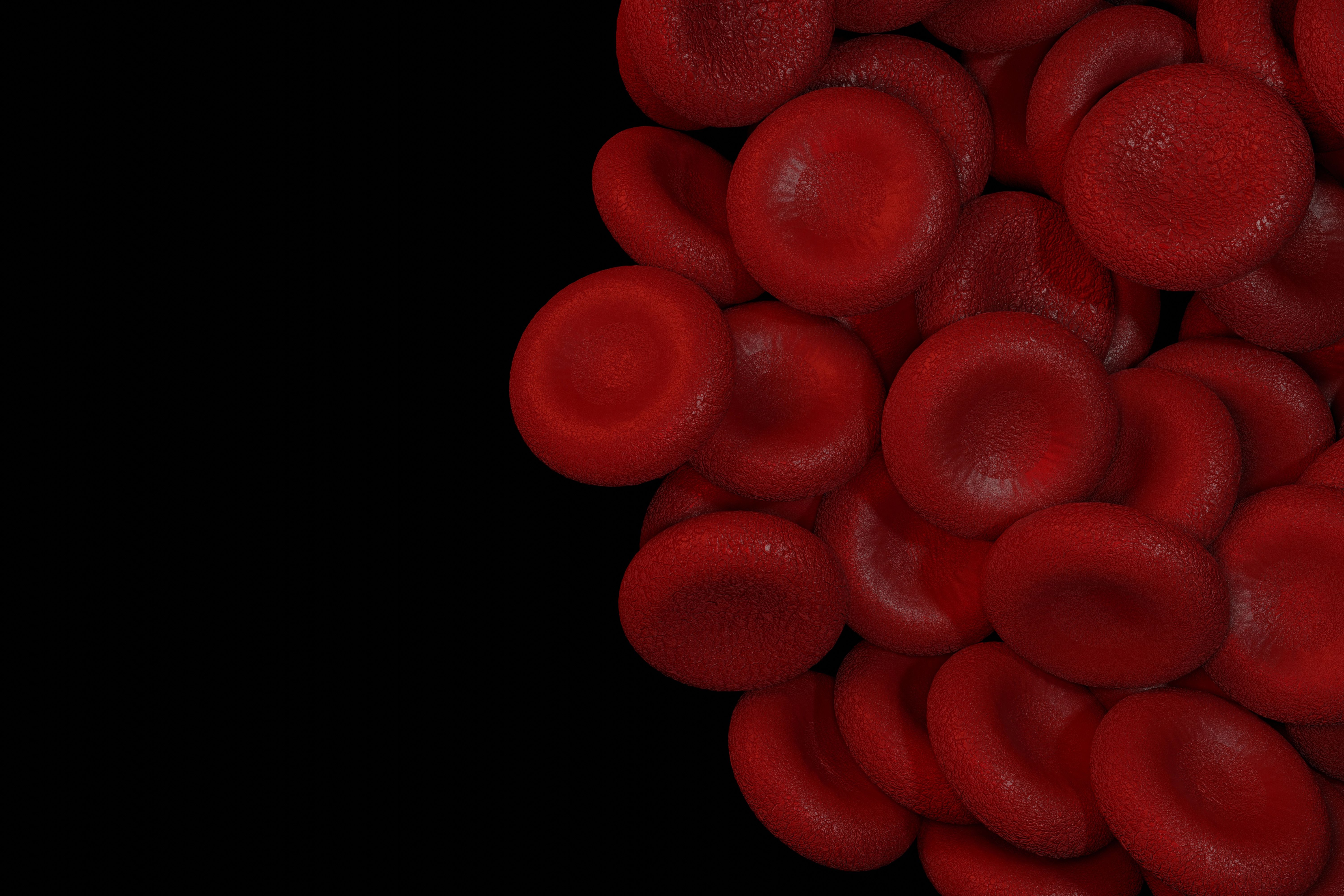Blog header image
