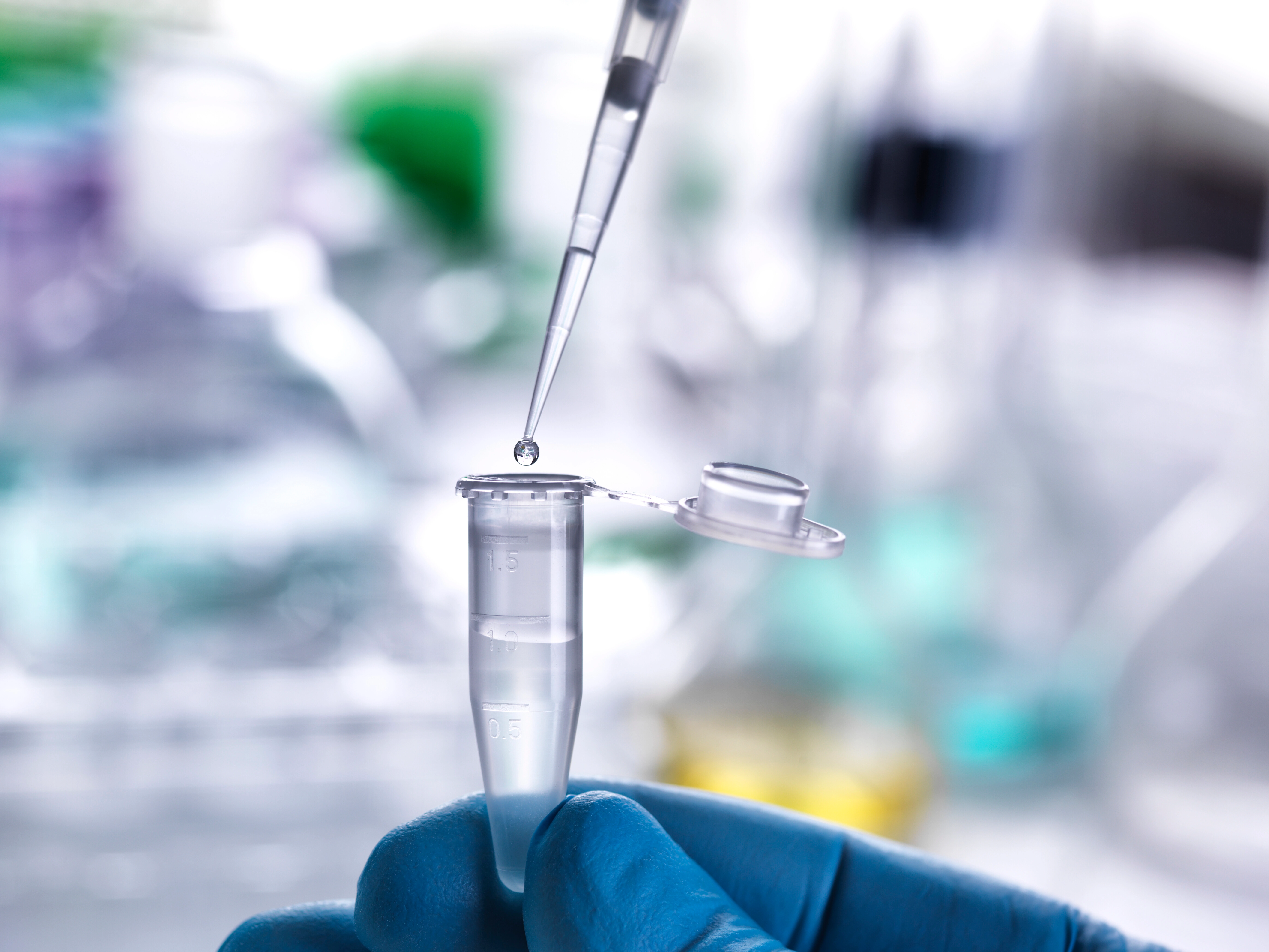 Understanding the Parrot Bornavirus Real-Time PCR Detection Kit
