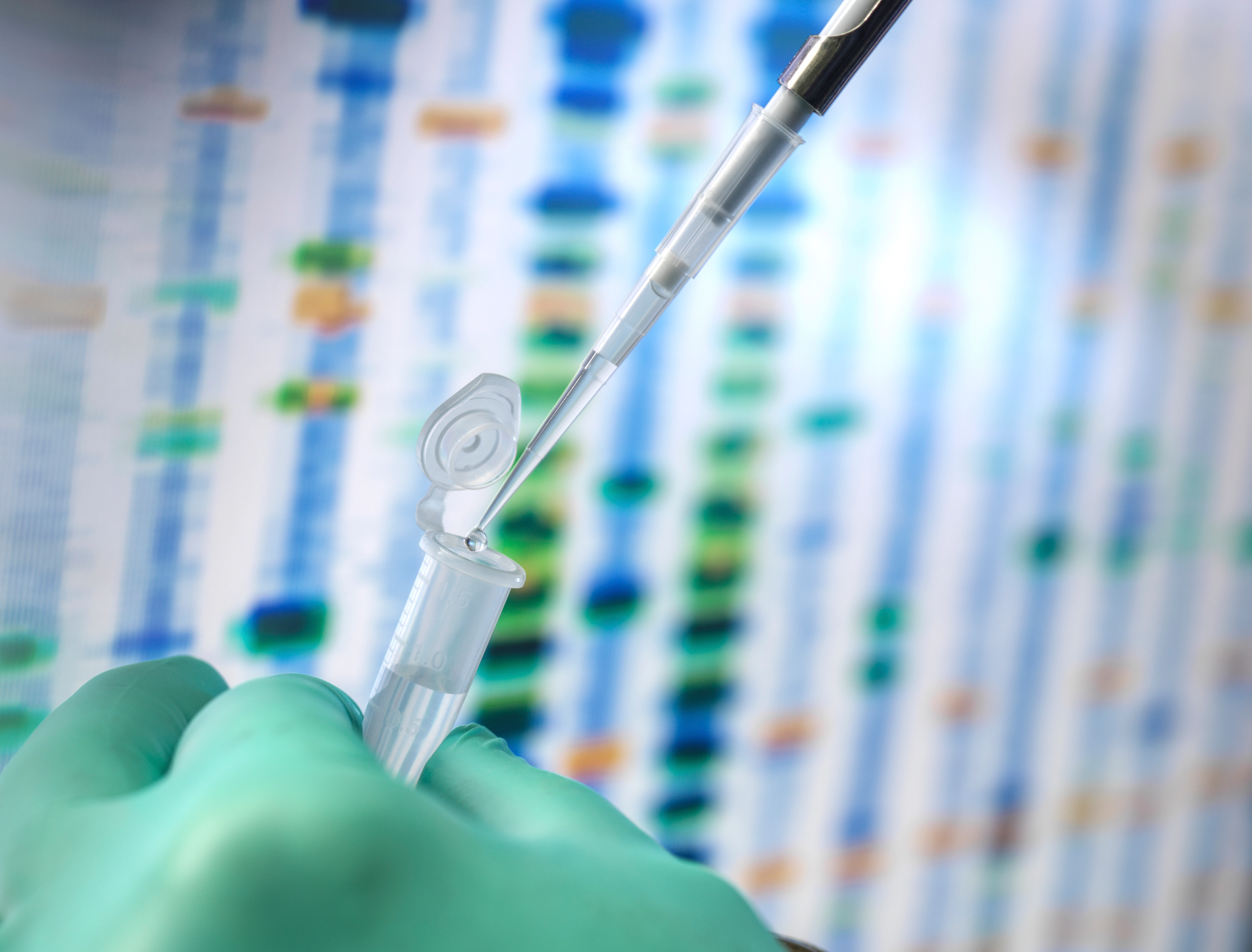 CHRAC1 Protein Lysate (Rat) with C-HA Tag | Chromatin Remodeling Research
