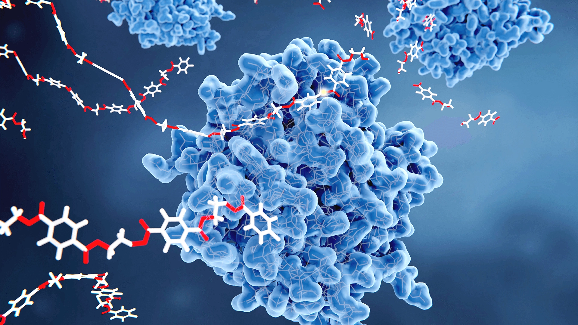 Recombinant Pseudomonas stutzeri GrpE Protein: Structure, Mechanism, and Research Applications