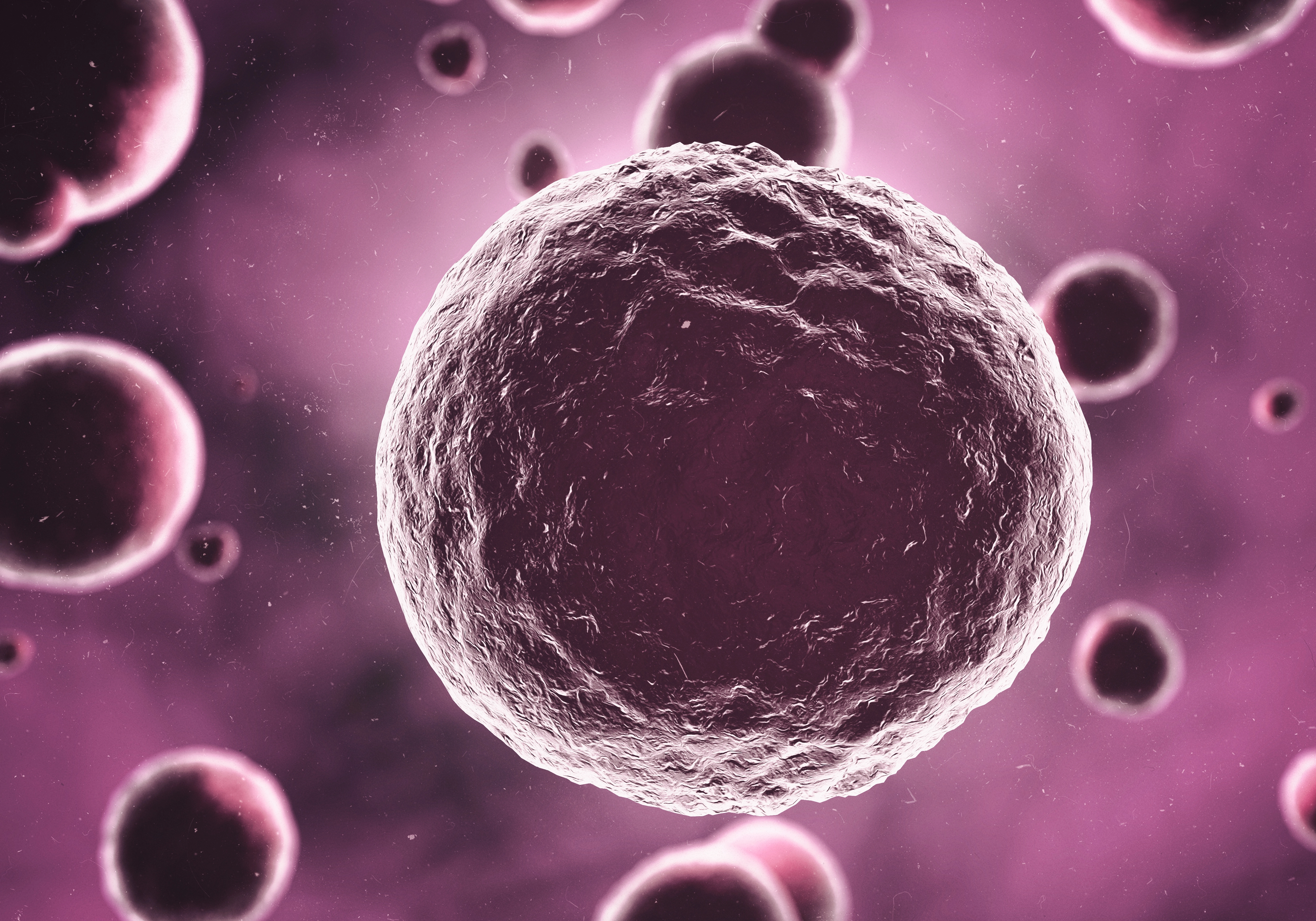 Technische Analyse van Antigen Melanoma Kit Methodologieën voor Geavanceerde Immunologische Karakterisering