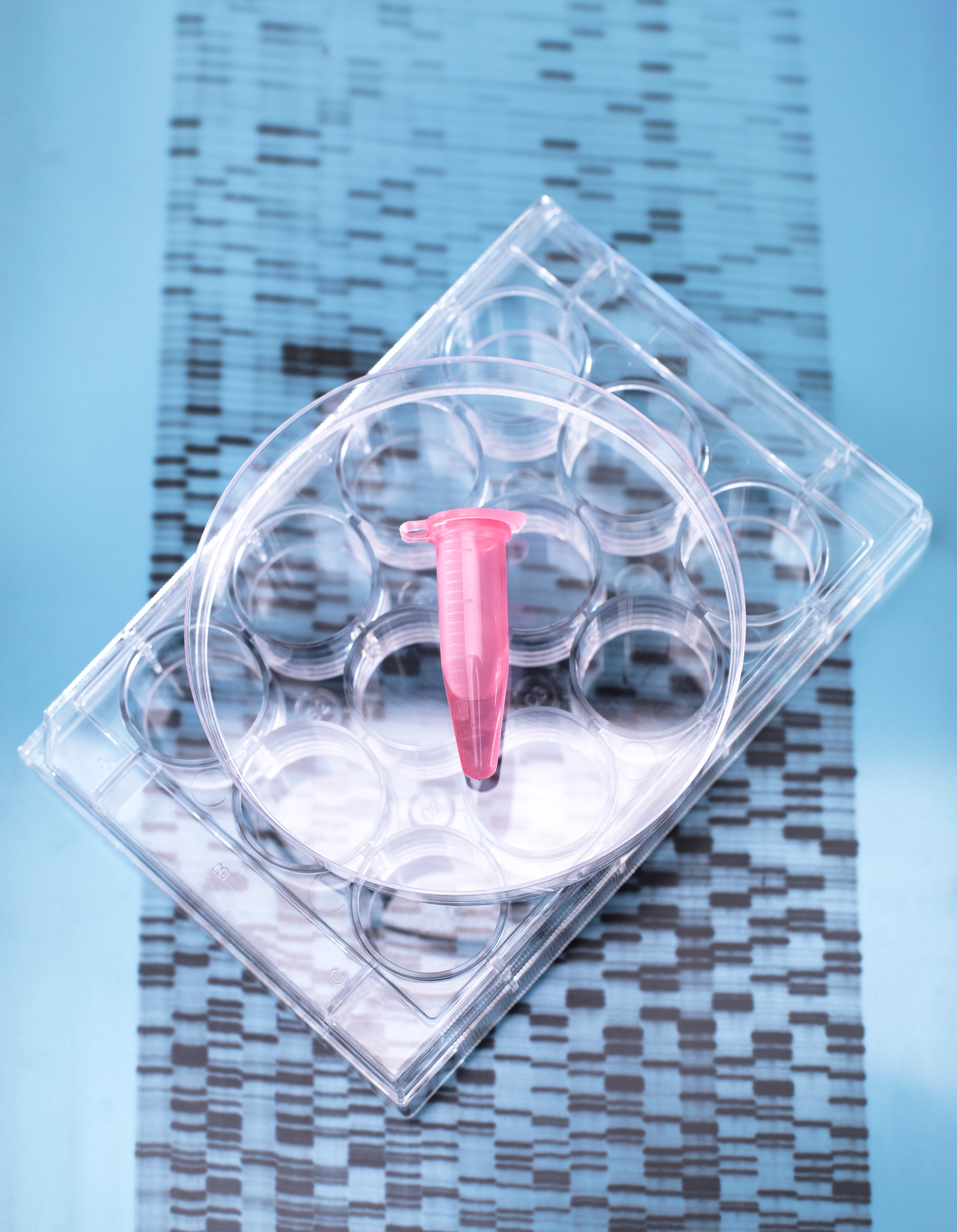 Cas12f, CasX (Cas12e) & Casɸ : Nucléases CRISPR Ultra-Compactes