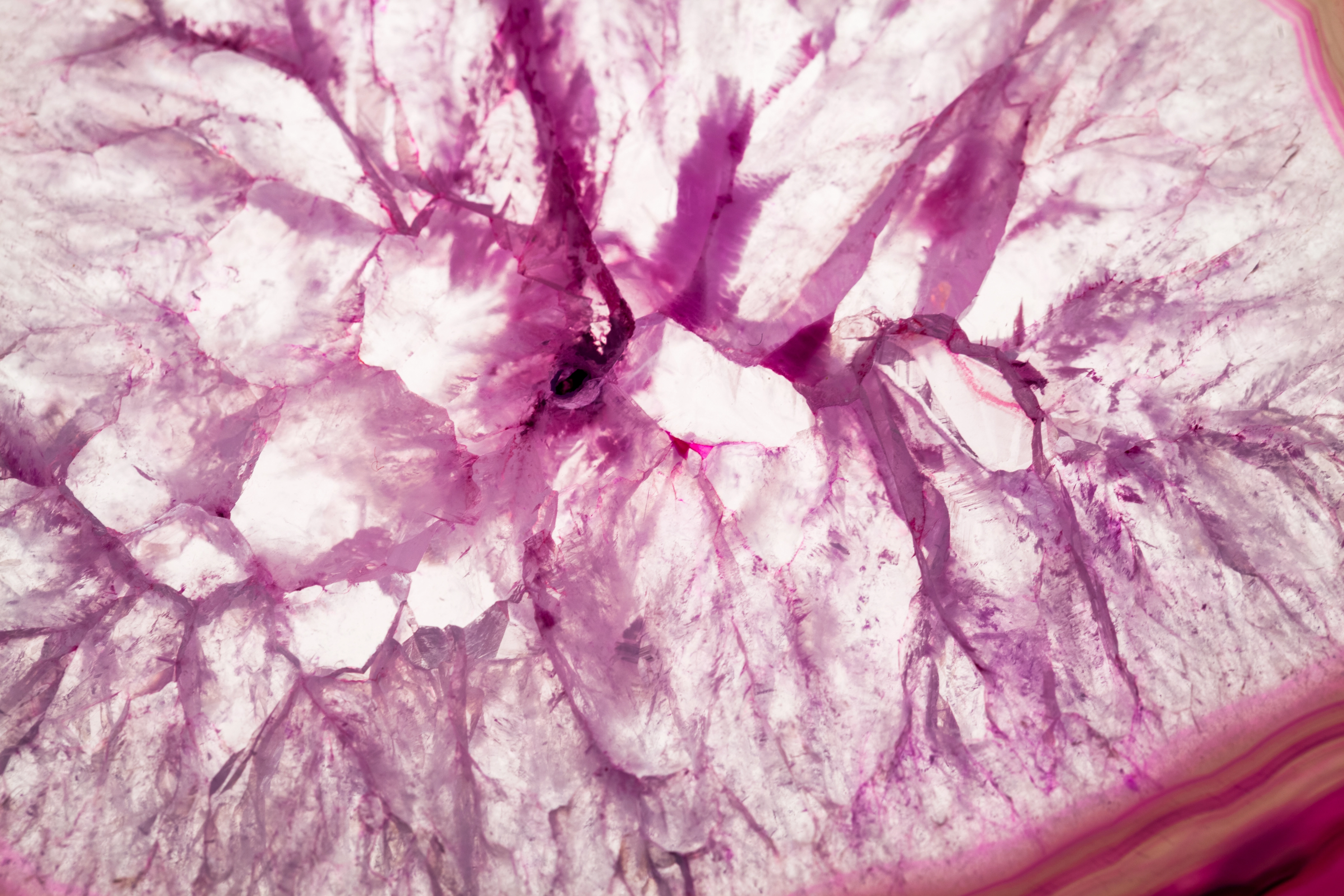 The Future of Liquid Biopsy : Exosomes, cfDNA, and RNA-Based Cancer Detection in 2025