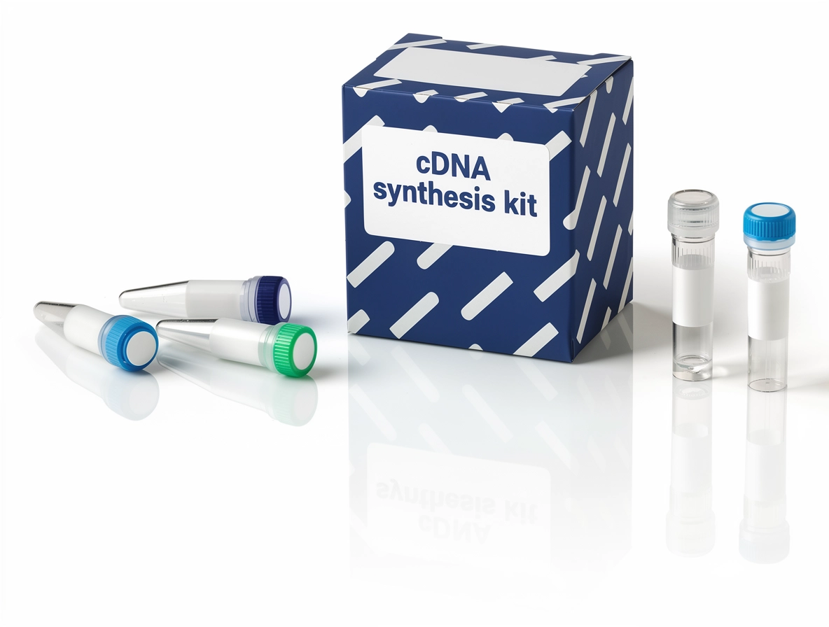 Kit de Synthèse de cDNA : Guide Complet pour une Transcription Inverse à Haut Rendement