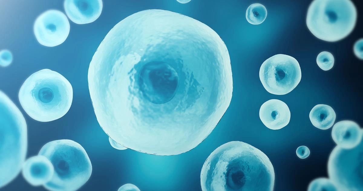 Recent Advances in Single-Cell Technologies for Biological Research