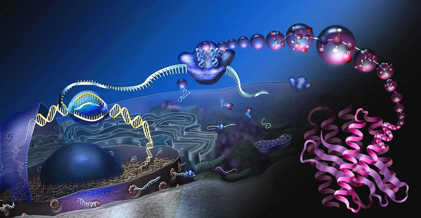 Multi-Omics Approaches in Modern Biotechnology Research