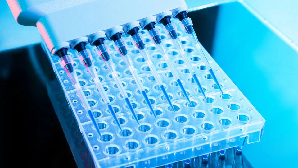 High-Throughput Screening Techniques in Biotechnology