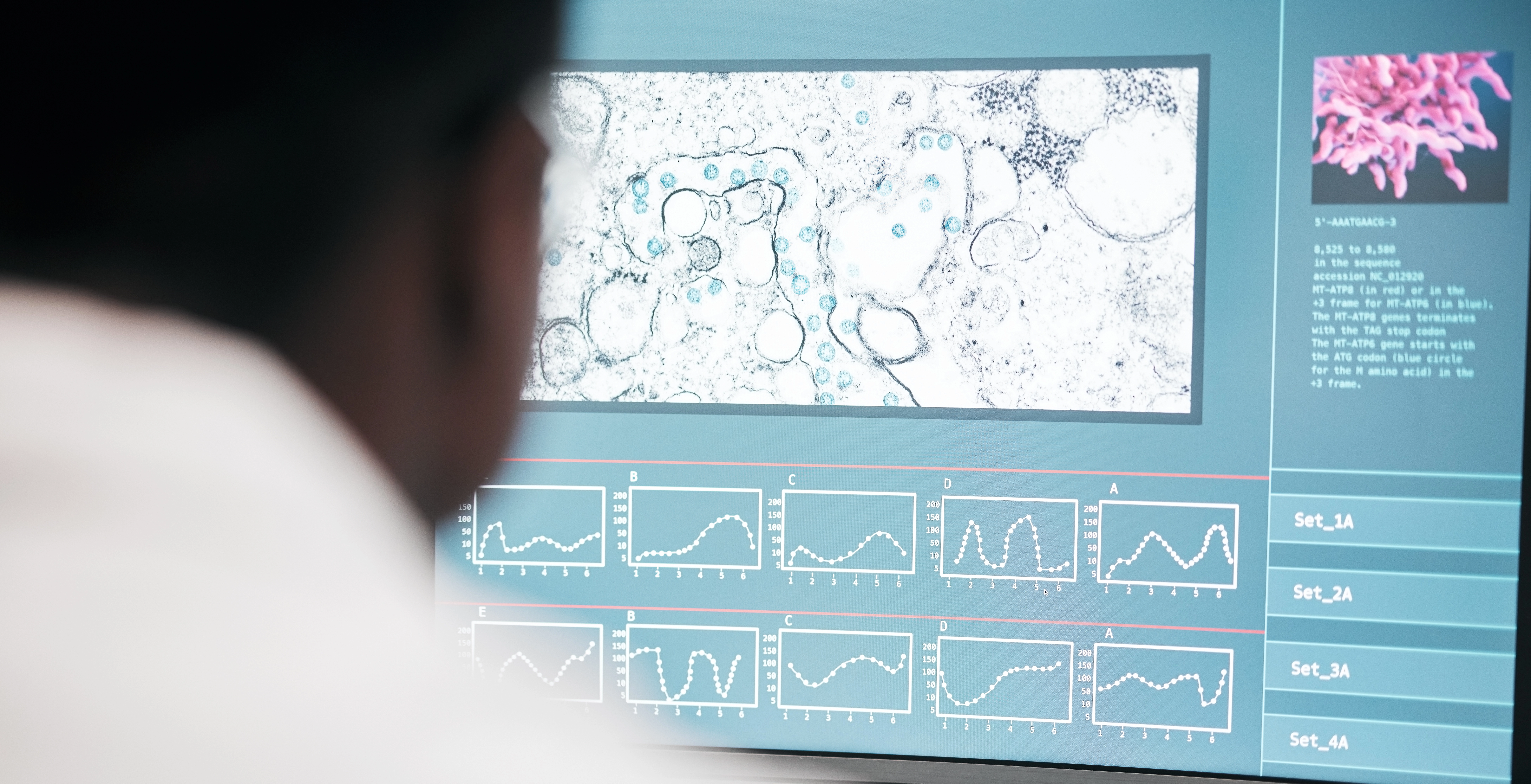 Premium Tissue Arrays for Tumor Research, Normal Tissue Studies, and More