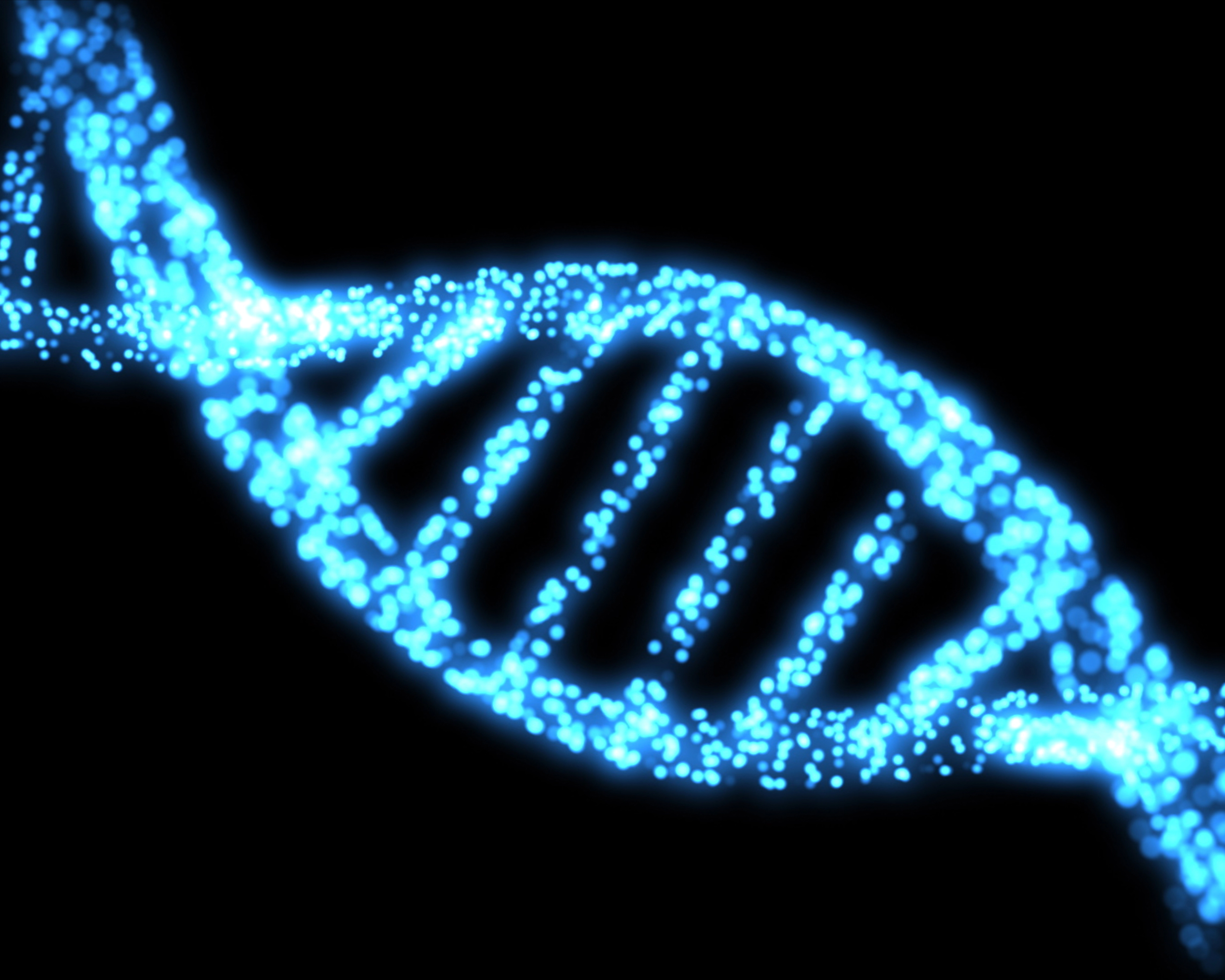 C1SA shRNA Plasmid