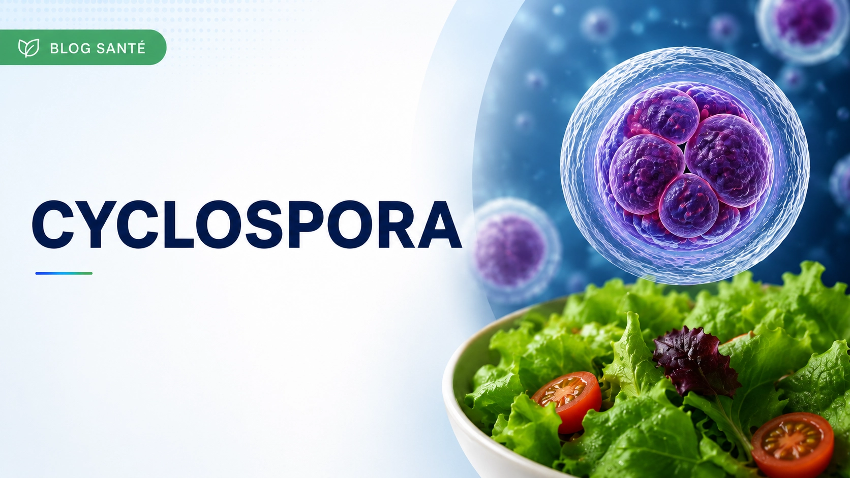 Cyclospora : pourquoi les cas augmentent en 2026 et comment se protéger