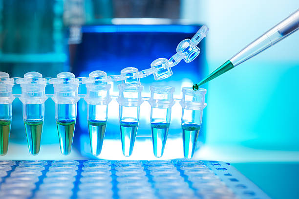 Advanced PCR Technologies: Driving the Next Generation of Molecular Biology
