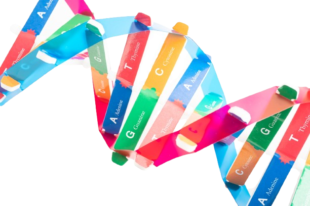 Blog header image
