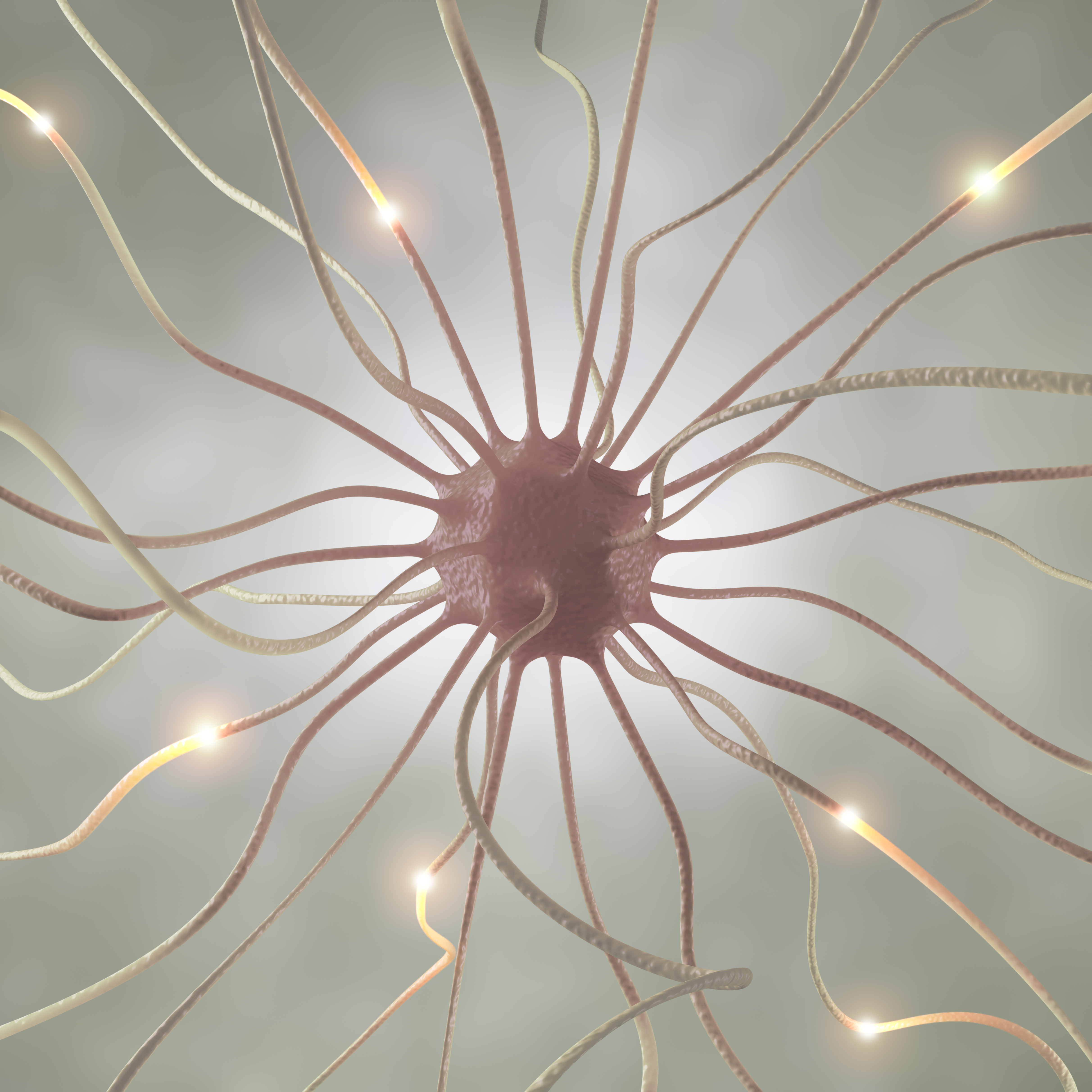 Hormone Secretions: The Body’s Chemical Messengers