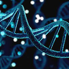 How 10x Genomics Visium Works: A Deep Dive into Spatial Transcriptomics