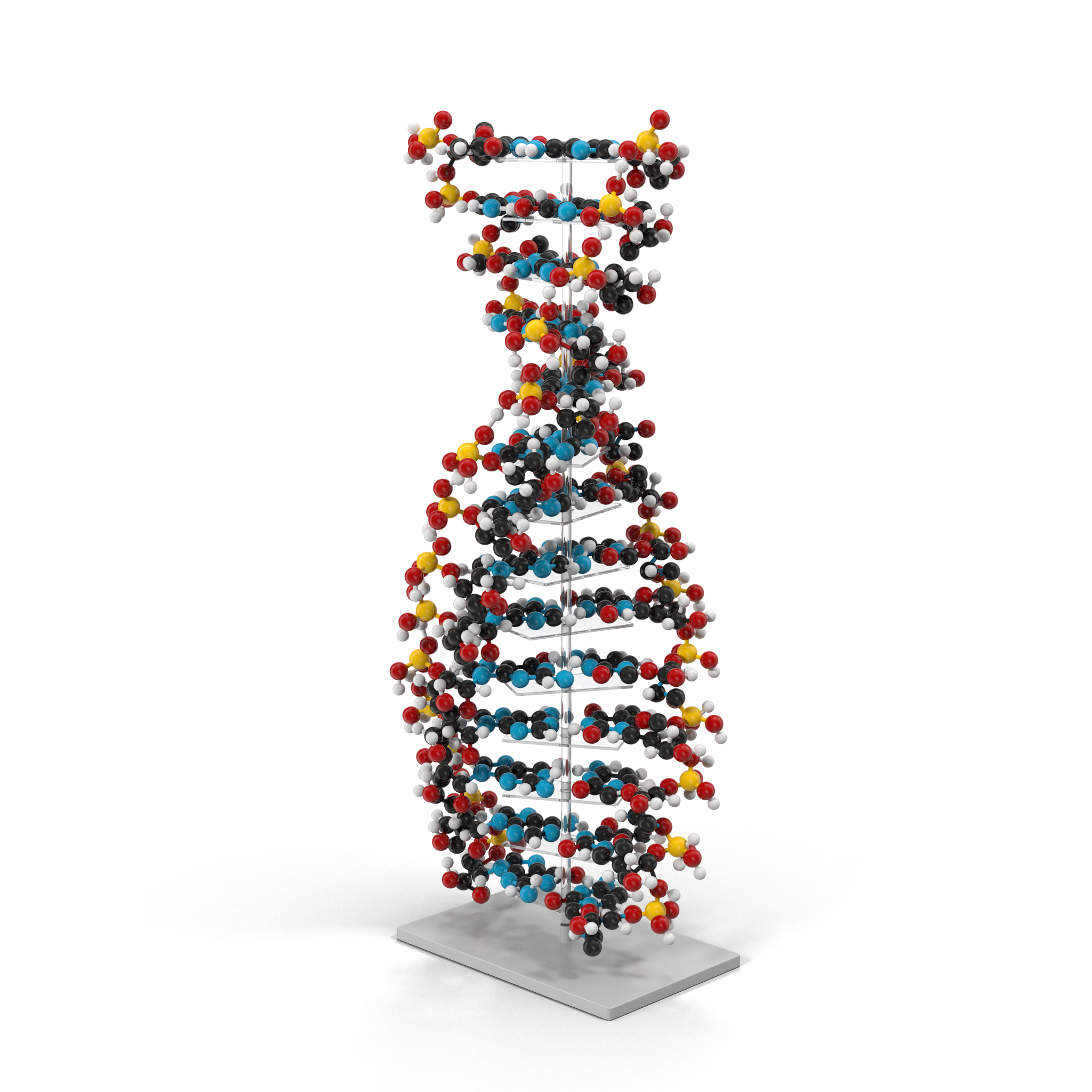 Human Transforming Growth Factor Beta 3 (TGF-β3) Protein : Function, Applications, and Importance in Research