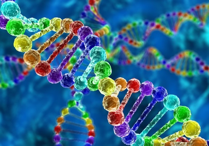 Streamlining Nucleic Acid Preparation: Innovative Solutions with Unagi and Lunatic for Desalting and Quantification