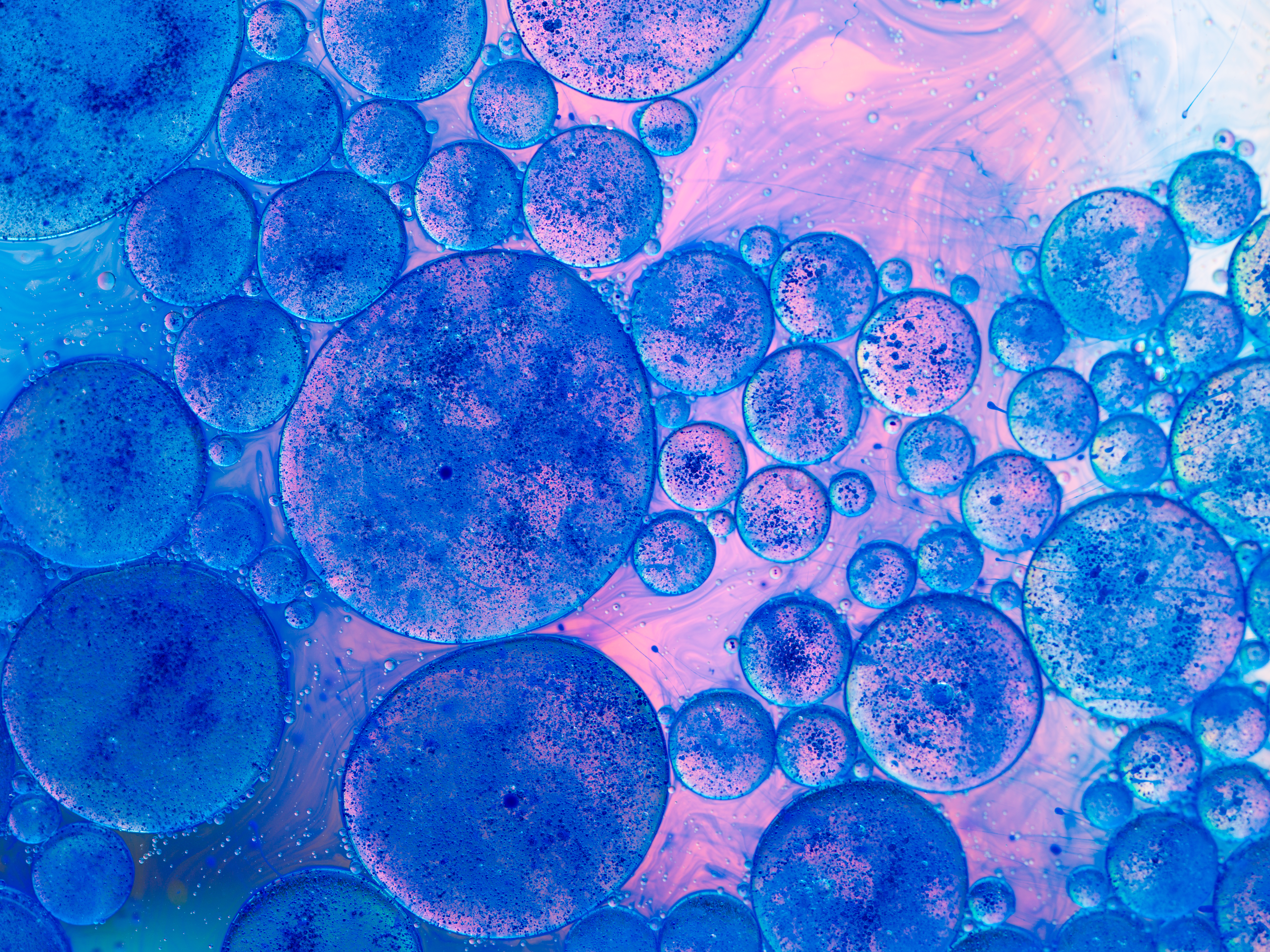 Blog header image