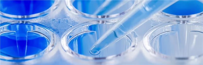 ELISA Kits