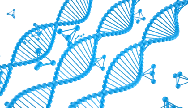 Protein Standards and Controls