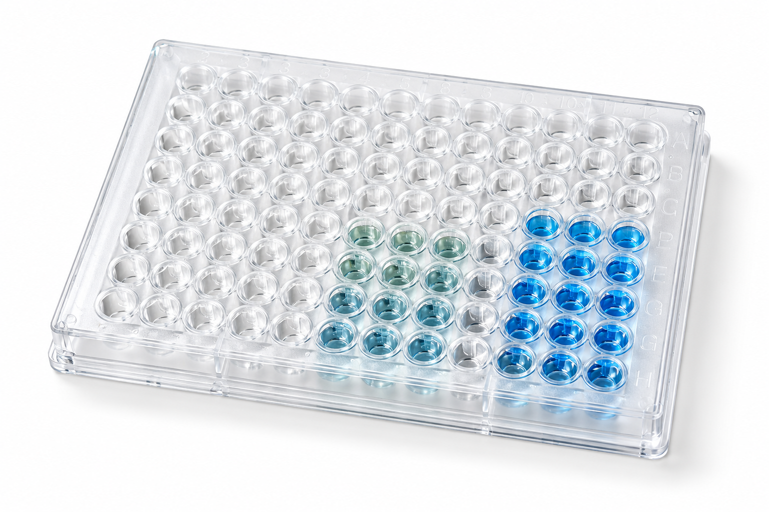 ELISA Kit