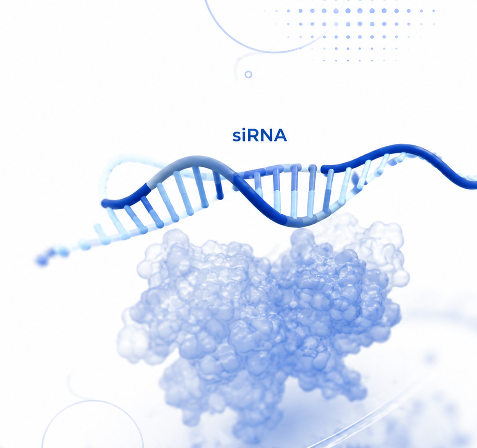siRNA