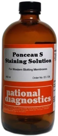Ponceau S Staining Solution - image 1