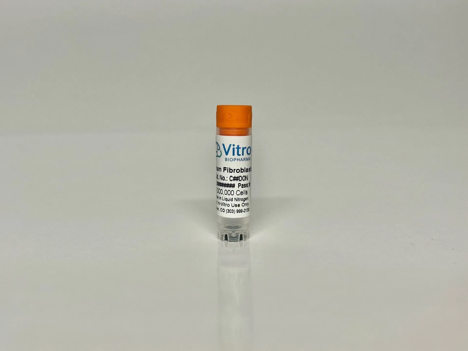 Normal Lung Fibroblasts - image 1