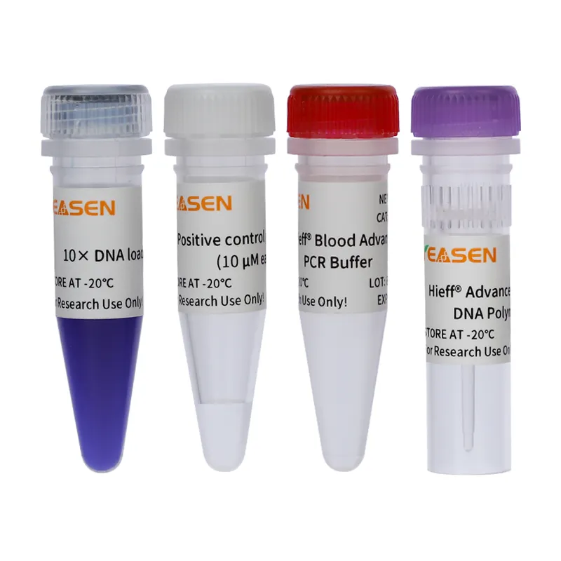  HIEFF ™ Blood Advanced Direct PCR -10188es  