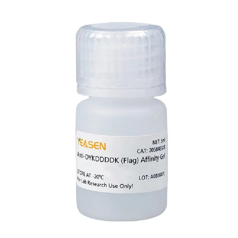 Anti-DYKDDDDK (Flag) Affinity Gel