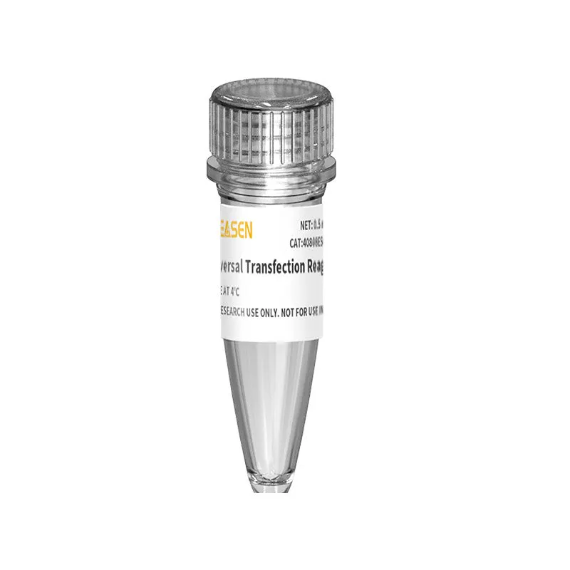 Hieff Trans® PEI Transfection Reagent-GMP-100 mL
