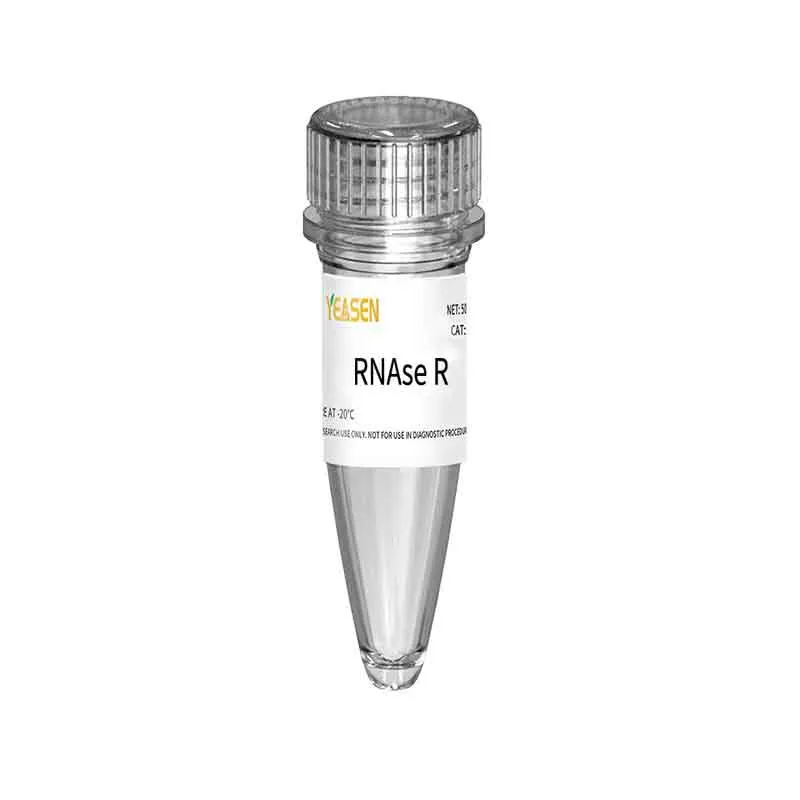 RNase