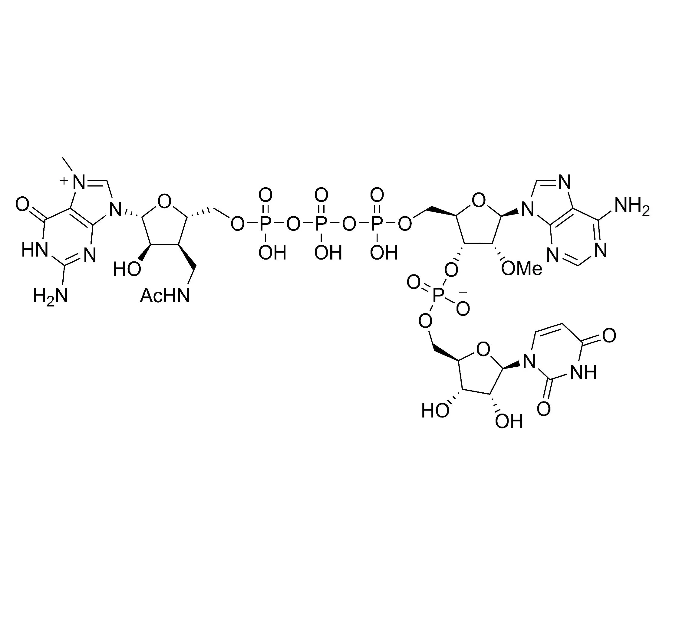 LZCap AU (3'Acm), High Affinity (100mM) - image 1