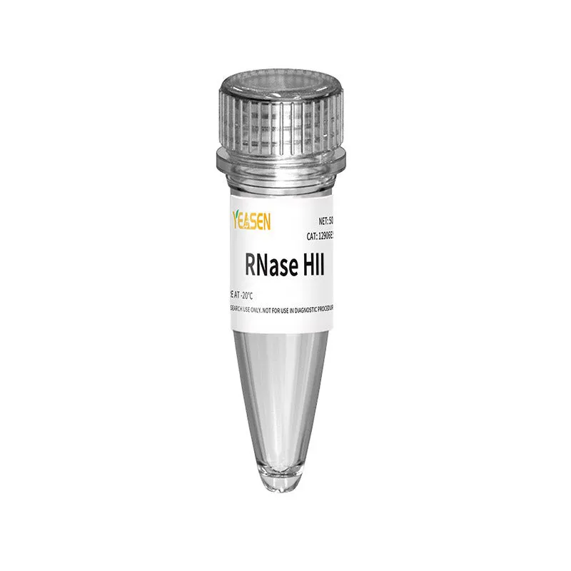RNase