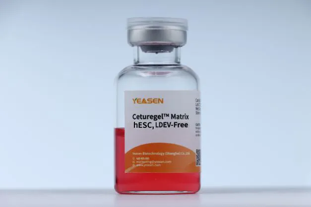 Ceturegel™ Matrix hESC-Qualified，LDEV-Free