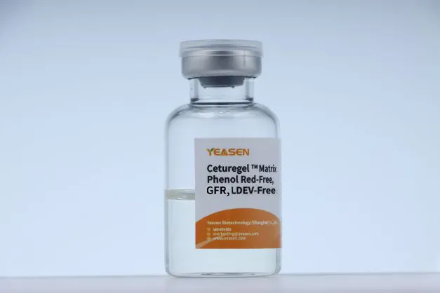 Ceturegel® Matrix for Organoid culture