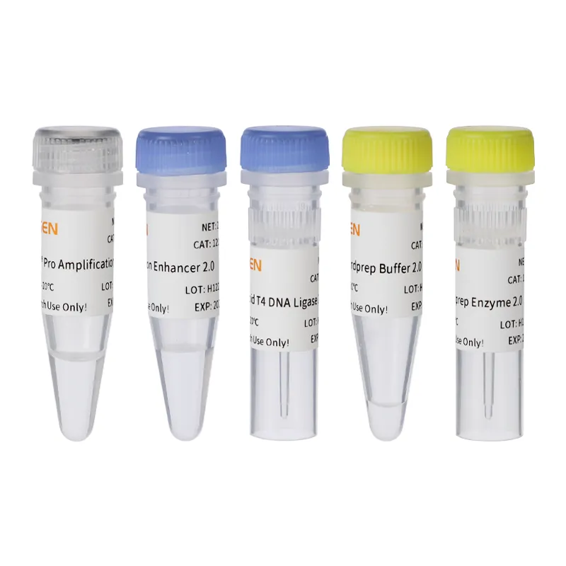 Hieff NGS™ DNA Library Prep Kit 2.0 (Mechanical)