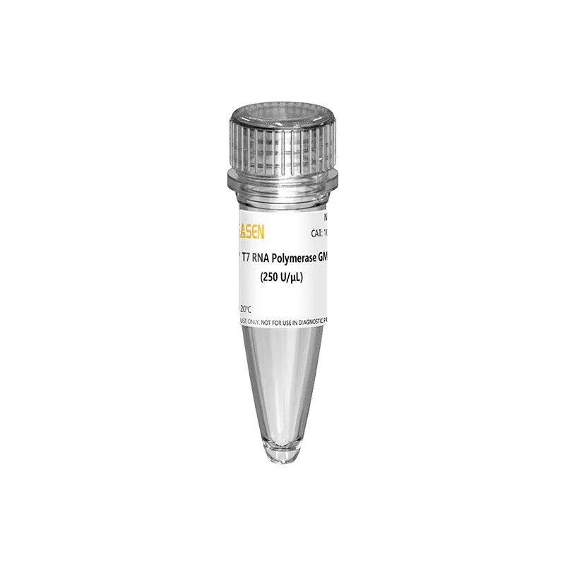 T7 RNA Polymerase GMP-grade (250 U/μL)