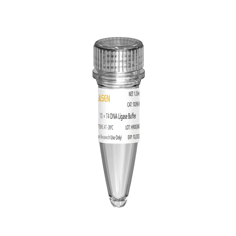 Hieff™ Versatility T4 DNA Ligase — Precision Ligation for Next-Generation Sequencing