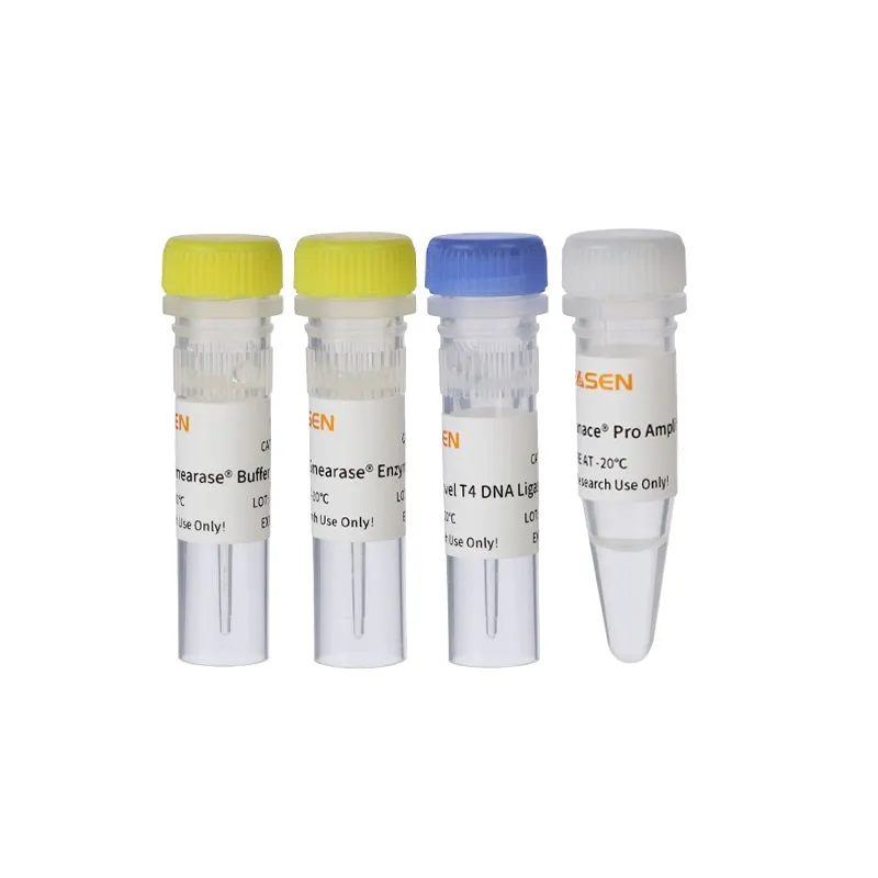 Hieff NGS™ OnePot Pro DNA Library Prep Kit V4 (Enzymatic)