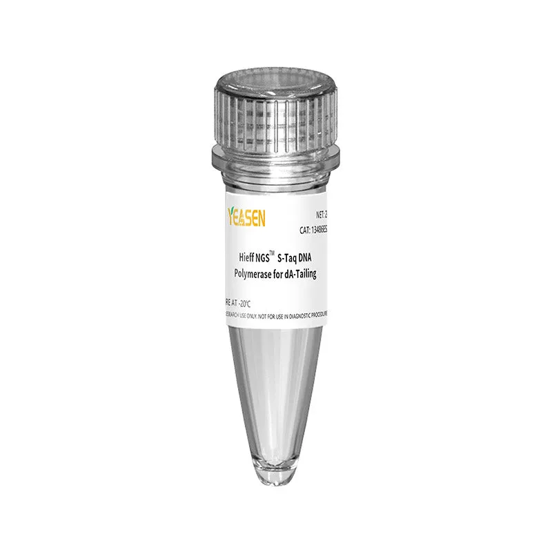Hieff NGS™ S Taq DNA Polymerase for dA-Tailing - 96 Tests