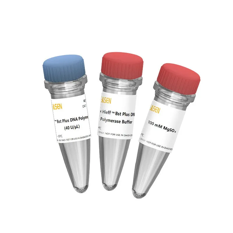 Hieff™ Super Bst DNA Polymerase (2000 U/μL) - 100 KU